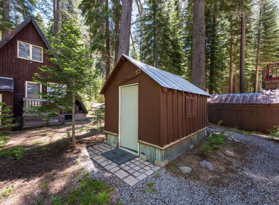 Nestled amongst tall pine trees, this charming property features a rustic brown shed with a metal roof, perfect for storage or a workshop.