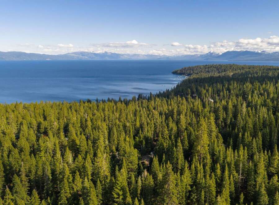 Experience the ultimate in lakeside living with this stunning aerial view of a property nestled within a dense evergreen forest.