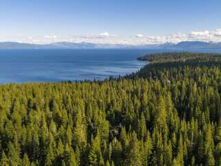 Experience the ultimate in lakeside living with this stunning aerial view of a property nestled within a dense evergreen forest.