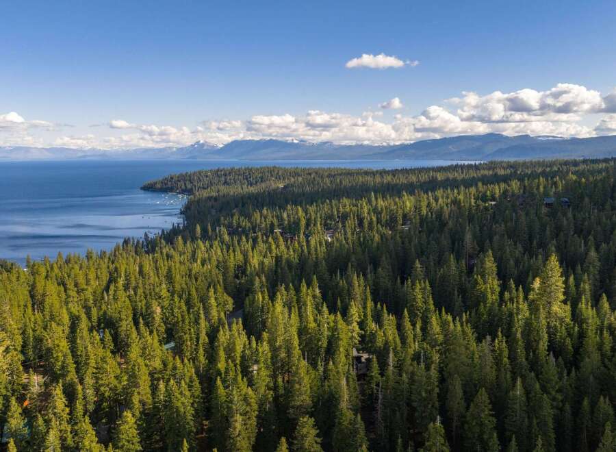 Experience the ultimate in lakeside living with this stunning aerial view of a property nestled within a dense evergreen forest.