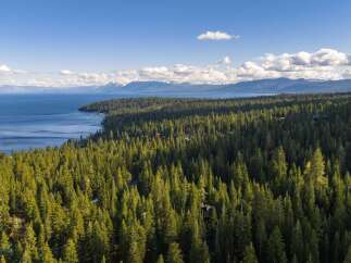 Experience the ultimate in lakeside living with this stunning aerial view of a property nestled within a dense evergreen forest.