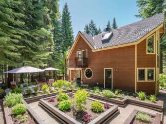 Discover this charming wooden home nestled amongst tall evergreen trees, offering a serene and private retreat.