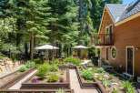 Discover this charming home with a beautifully landscaped garden, perfect for outdoor living and entertaining.