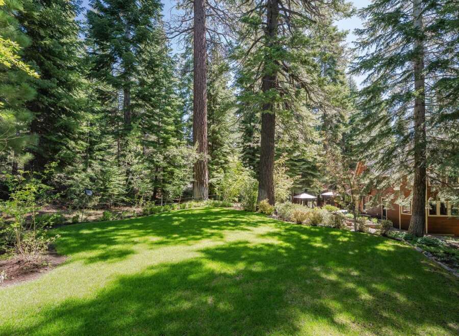 Escape to this stunning property nestled amongst towering pine trees, offering a serene and private backyard oasis.