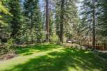 Escape to this stunning property nestled amongst towering pine trees, offering a serene and private backyard oasis.