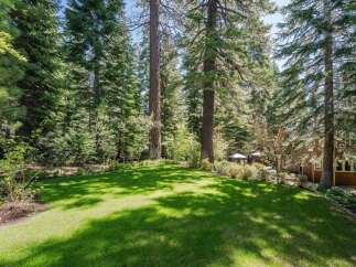 Escape to this stunning property nestled amongst towering pine trees, offering a serene and private backyard oasis.