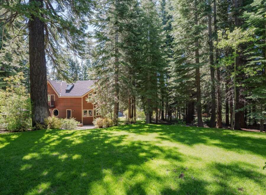 Nestled amidst a serene forest, this charming wooden home offers a tranquil retreat.