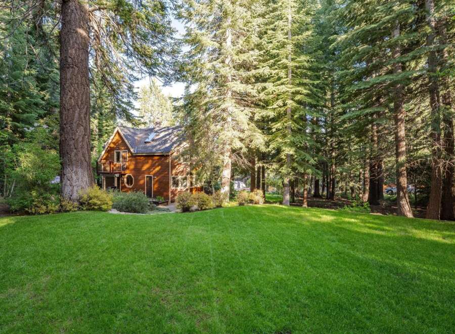 Nestled amidst towering trees, this charming wooden home offers a serene retreat.