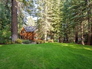 Nestled amidst towering trees, this charming wooden home offers a serene retreat.