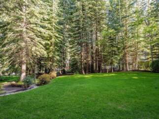 Enjoy the tranquility of this expansive backyard, featuring a lush, green lawn perfect for recreation and relaxation.