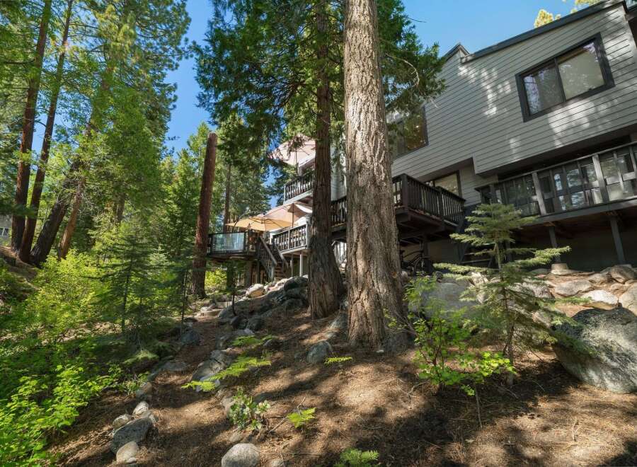Nestled amidst towering pine trees, this multi-level home offers a unique mountain retreat.