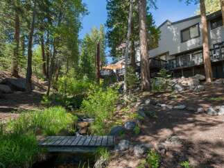 Nestled amidst towering trees and a serene forest setting, this property offers a unique blend of natural beauty and modern living.