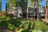 Nestled amongst towering trees, this property offers a serene retreat with multiple levels of outdoor living space.