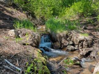 Discover your private oasis with this charming property featuring a serene stream flowing through lush greenery.