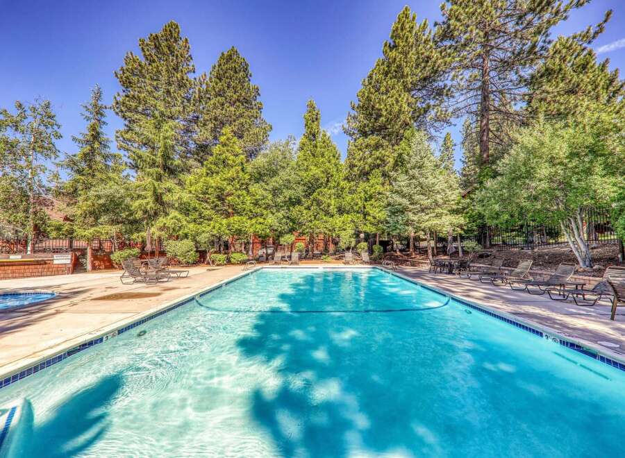 Enjoy a refreshing dip in this stunning outdoor swimming pool, surrounded by lush green trees and a clear blue sky.