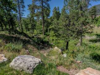Discover a serene natural landscape perfect for building your dream home.