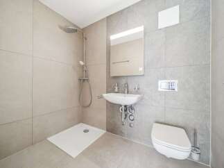 This modern bathroom features a spacious walk-in shower with a sleek showerhead and a convenient handheld option.