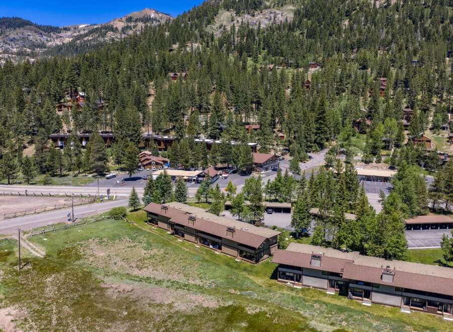 Nestled amidst a dense pine forest and rolling hills, this property offers a serene mountain retreat.