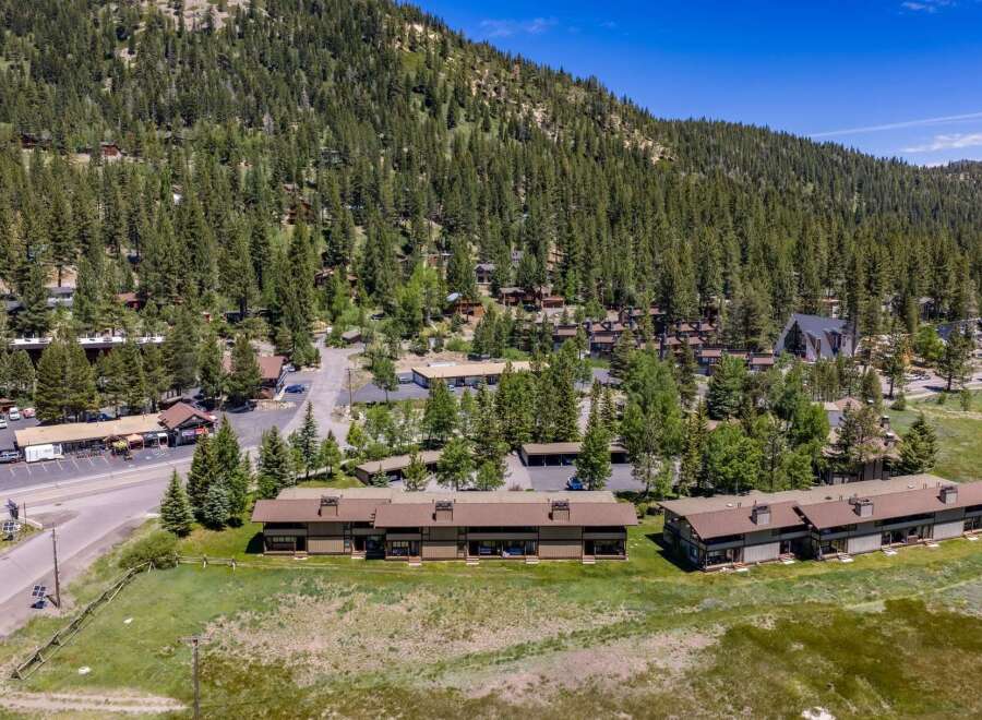 Nestled amidst a dense pine forest and rolling hills, this property offers a serene mountain retreat.
