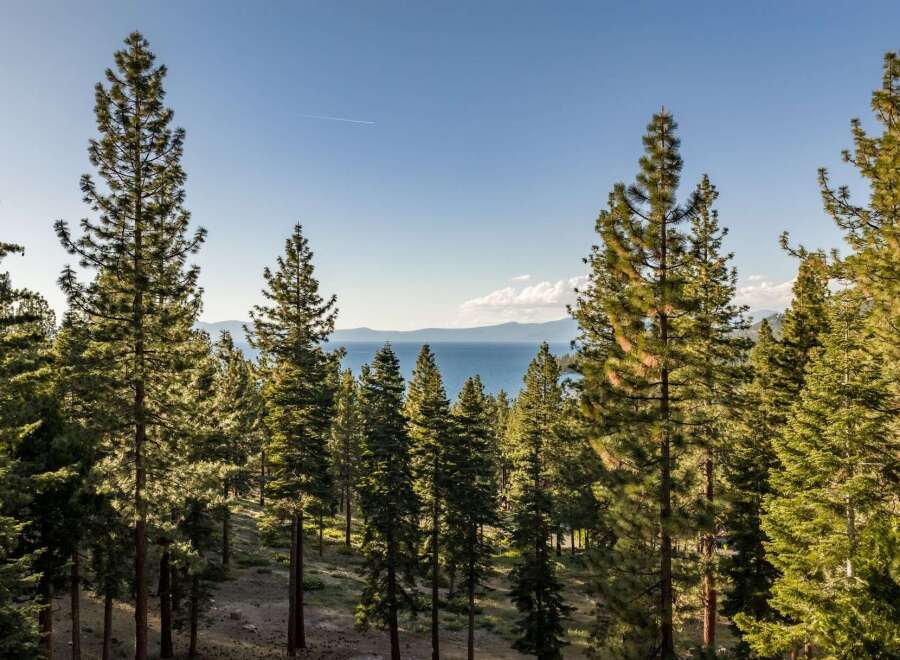 Experience breathtaking lake views from this stunning property, nestled amidst a serene pine forest.
