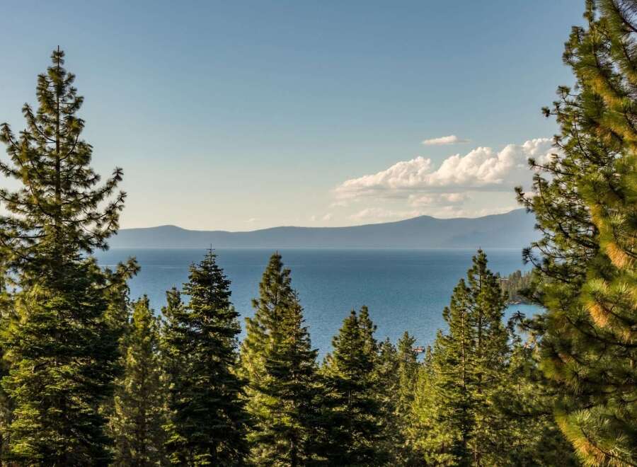 Experience breathtaking lake views framed by majestic pine trees from this stunning property.