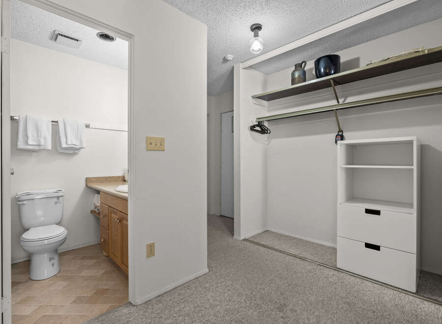 Discover a well-appointed bathroom featuring a toilet and vanity, complemented by a spacious closet with shelving and hanging space.