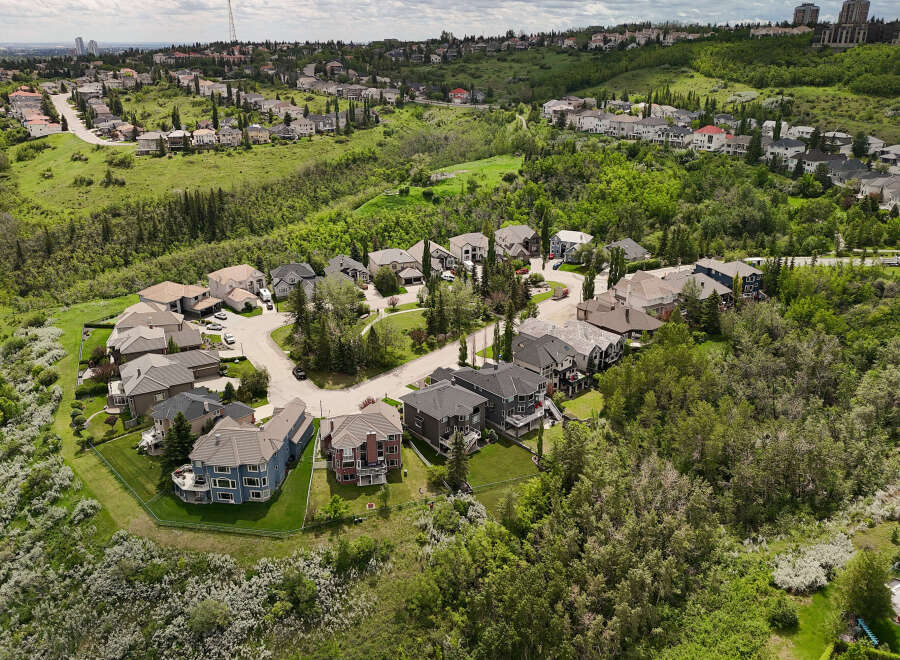 Discover this stunning suburban neighborhood nestled amidst rolling green hills and lush trees.