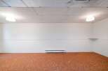 Discover the potential of this spacious room, featuring a warm, textured orange carpet and clean white walls.