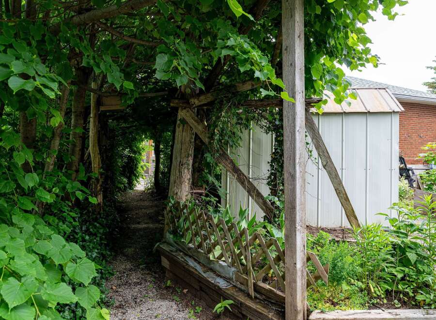 Discover a charming pathway leading through a lush, green arbor, perfect for a tranquil stroll.