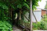 Discover a charming pathway leading through a lush, green arbor, perfect for a tranquil stroll.