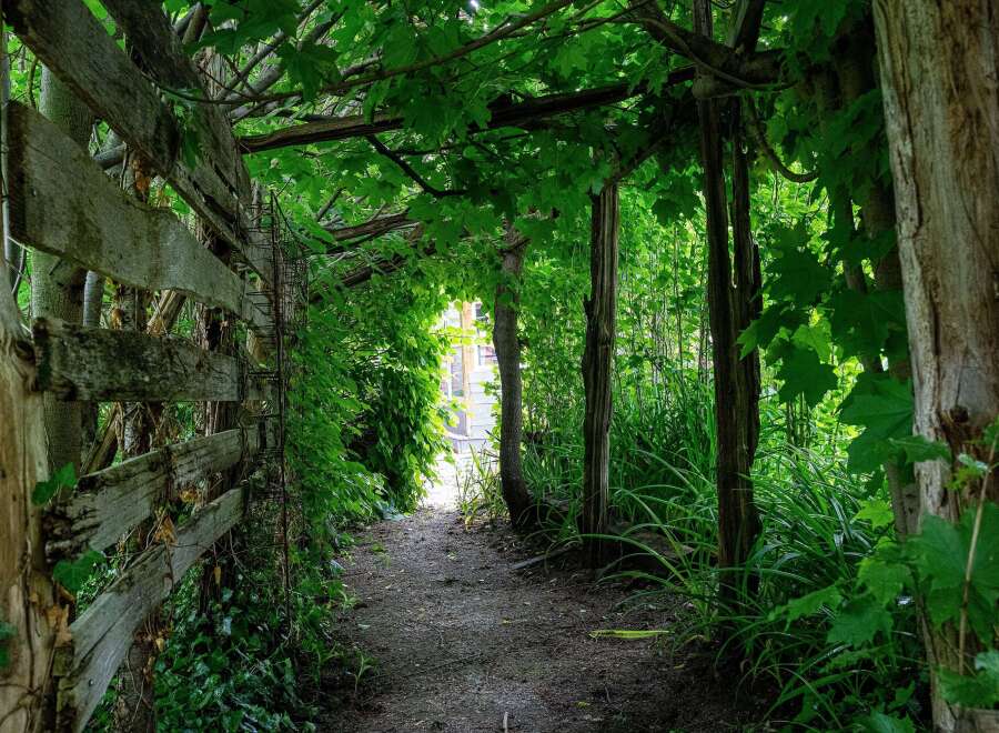 Discover a charming pathway leading to a bright, open space, perfect for creating lasting memories.