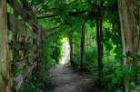 Discover a charming pathway leading to a bright, open space, perfect for creating lasting memories.