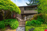 Nestled amidst lush greenery, this charming home features a multi-level wooden deck and staircase leading to the entrance.