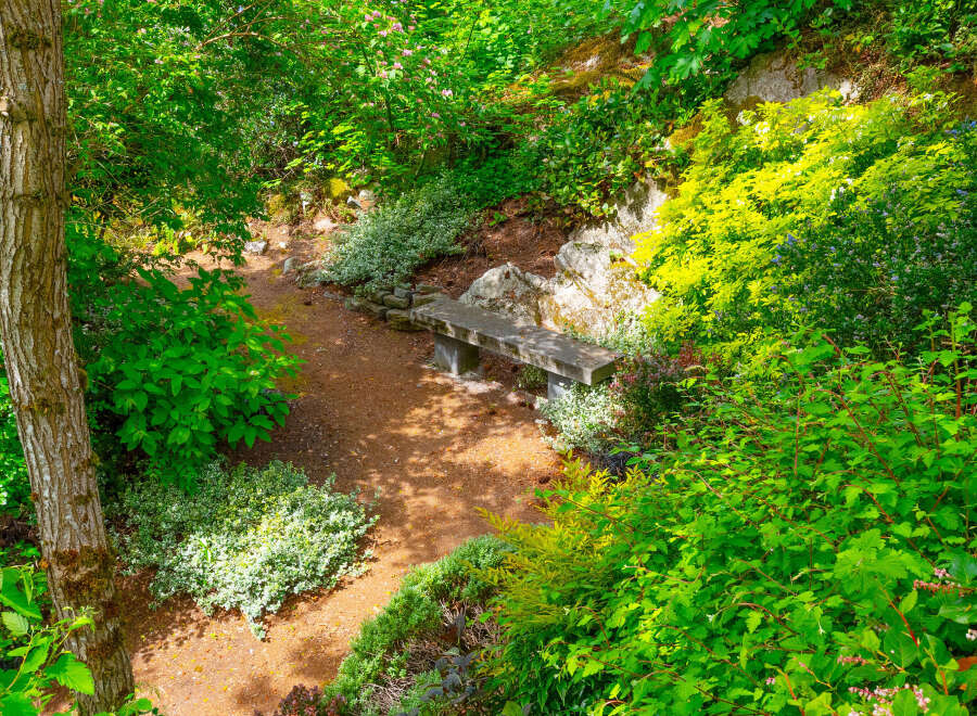 Discover a serene garden oasis perfect for quiet contemplation or enjoying nature's beauty.