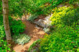 Discover a serene garden oasis perfect for quiet contemplation or enjoying nature's beauty.