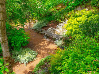 Discover a serene garden oasis perfect for quiet contemplation or enjoying nature's beauty.