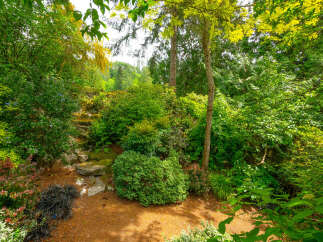 Discover a lush, verdant oasis with this stunning garden landscape, featuring a charming stone pathway winding through abundant greenery.