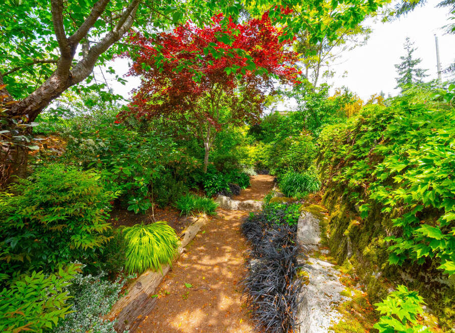 Discover a serene garden oasis perfect for outdoor living and entertaining.