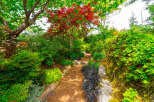 Discover a serene garden oasis perfect for outdoor living and entertaining.