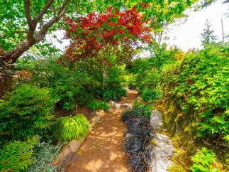 Discover a serene garden oasis perfect for outdoor living and entertaining.