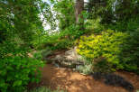 Discover a tranquil garden oasis perfect for relaxation and contemplation.
