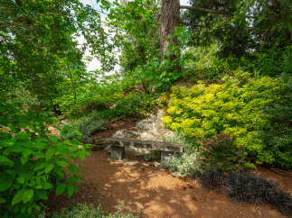 Discover a tranquil garden oasis perfect for relaxation and contemplation.