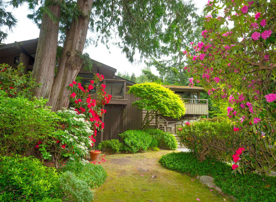 Nestled amidst lush greenery and vibrant rhododendrons, this home offers a serene retreat.
