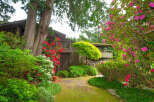 Nestled amidst lush greenery and vibrant rhododendrons, this home offers a serene retreat.