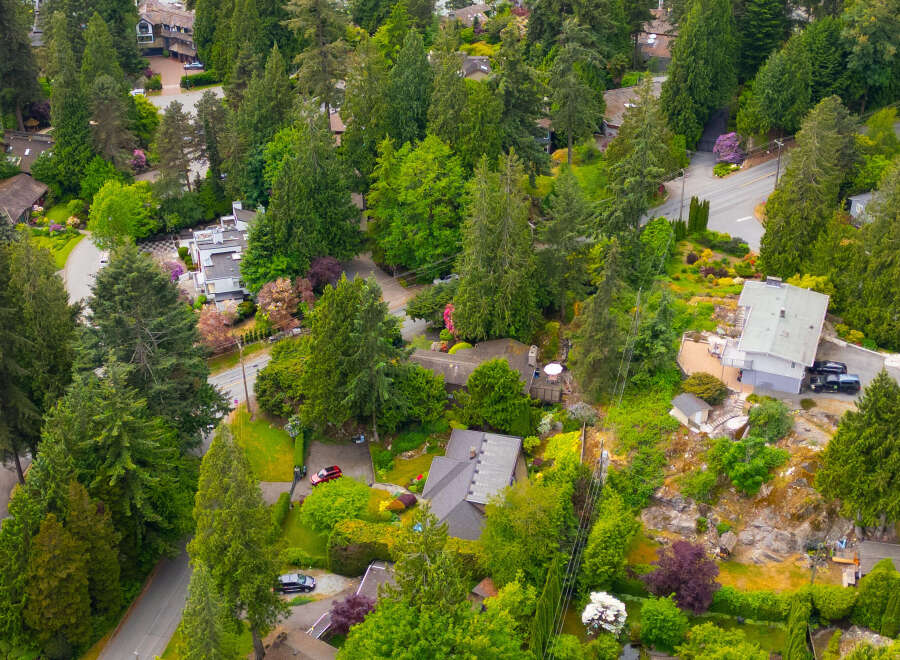 Discover this stunning aerial view of a lush, green neighborhood with beautiful homes nestled amongst mature trees.