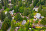 Discover this stunning aerial view of a lush, green neighborhood with beautiful homes nestled amongst mature trees.