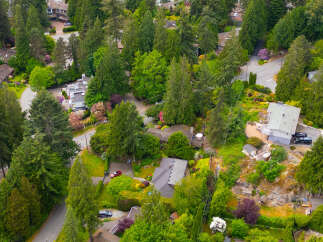 Discover this stunning aerial view of a lush, green neighborhood with beautiful homes nestled amongst mature trees.