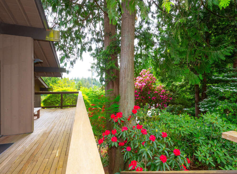 Enjoy the lush greenery and vibrant blooms from this stunning property's expansive wooden deck.