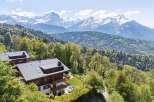 Experience breathtaking mountain vistas from this stunning chalet, nestled amidst lush greenery.
