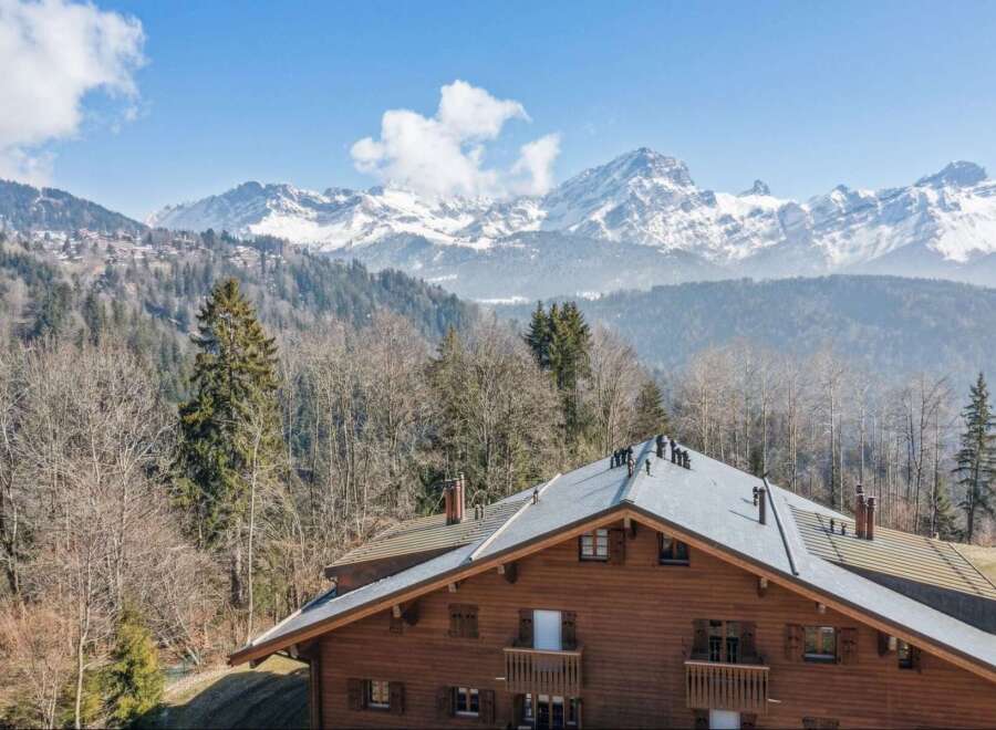 Experience breathtaking mountain views from this charming wooden chalet, nestled amidst a serene forest landscape.